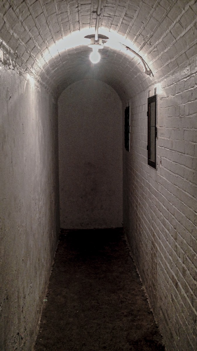 Stacks Image 141